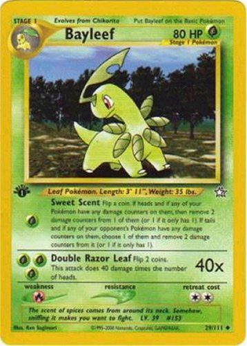 029 Bayleef